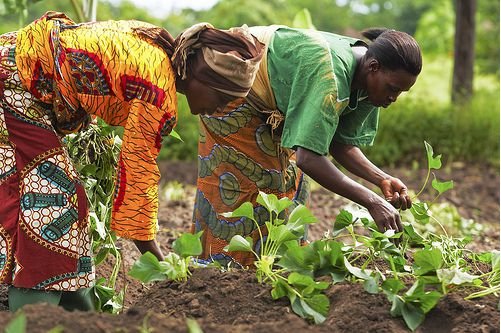 Farms
